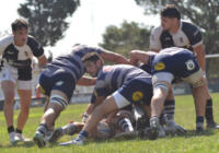 Rugby: Estudiantes sufrió una dura derrota de local en el Torneo del Interior