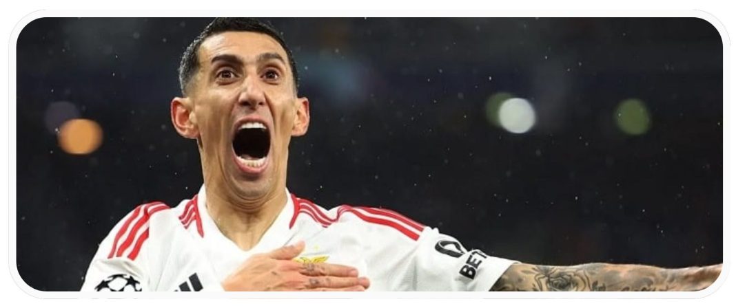 DI MARIA WEB