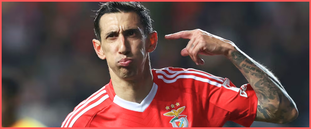 WEB DI Maria