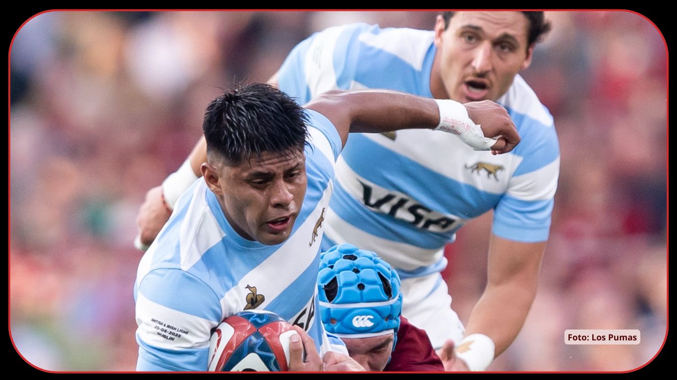 WEB LOS PUMAS